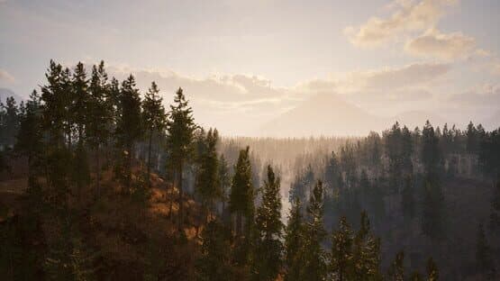 Screenshot of Online: 404