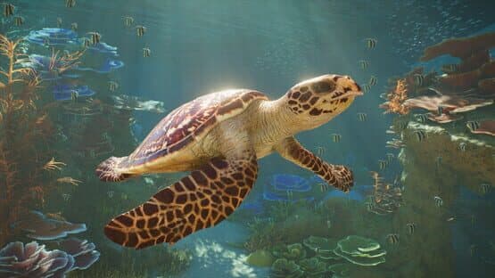 Screenshot of Planet Zoo 2