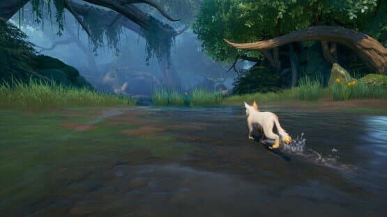 Screenshot of Warrior Cats: Clans of the Forest
