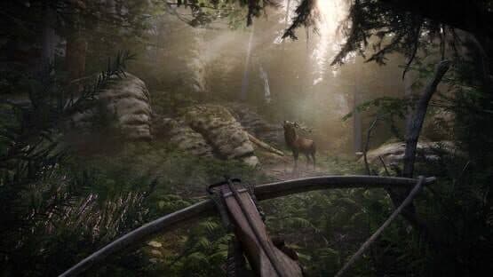 Screenshot of Kingdom Come: Deliverance II