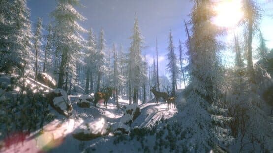 Screenshot of FlowScape