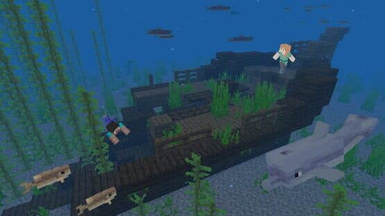 Screenshot of Minecraft