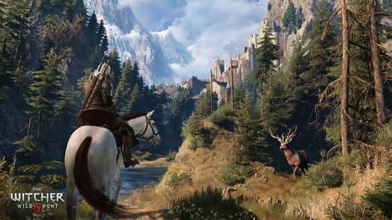 Captura de The Witcher 3: Wild Hunt