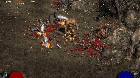 Screenshot of Diablo II