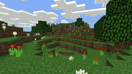 Screenshot of Minecraft: Java Edition