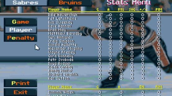 Screenshot of Wayne Gretzky Hockey 3