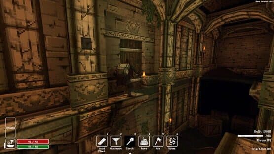 Screenshot of Deep Dish Dungeon