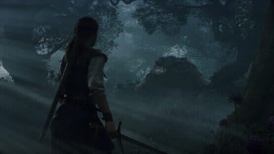 Captura de Fable