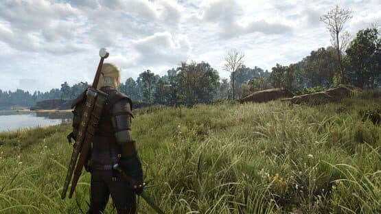 Captura de The Witcher 3: Wild Hunt