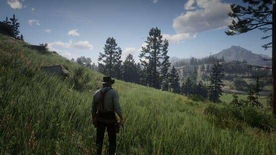 Captura de Red Dead Redemption 2