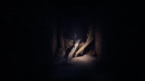 Screenshot of Reanimal