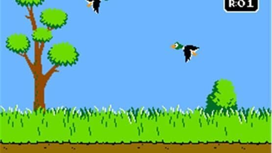 Screenshot of Duck Hunt